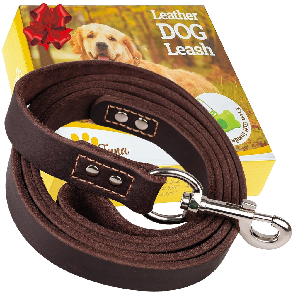 ADITYNA brown leather dog leash 6ft for everyday walks and reliable control.