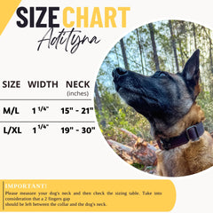 ADITYNA steel D-ring for secure leash attachment on walks and training.