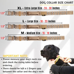 ADITYNA dog collar with handle for training and control