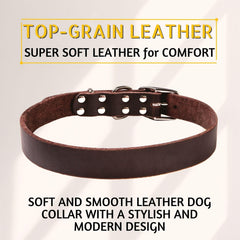 ADITYNA double buckle and D-ring design for secure leash attachment.