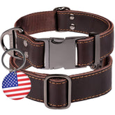 ADITYNA Leather Collar buckle closeup shows durable hardware for daily walks.