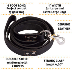 ADITYNA leash stitch detail highlighting premium craftsmanship.