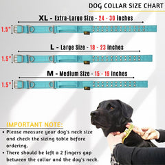 ADITYNA neoprene-padded collar minimizes chafing during active play.