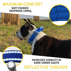 ADITYNA neoprene-padded collar delivers soft comfort and reduces chafing on long wear