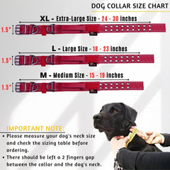 ADITYNA burgundy collar with reflective stitching for night visibility