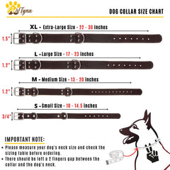 ADITYNA collar featuring two D-rings for versatile leash options during training.