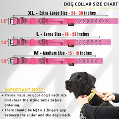 ADITYNA wide 1.5-inch neoprene-padded collar provides comfortable support for large dogs