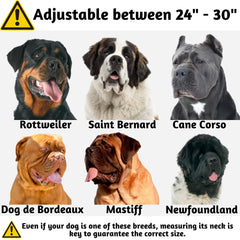ADITYNA XL collar wide one-and-a-half-inch nylon provides comfortable wear.
