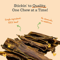 Indoor-friendly odor-free jerky by Advance Pet Products for dogs