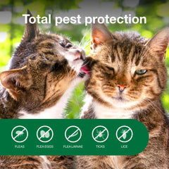 Advantage Cat Flea Spray is applied from head to tail on a cat.