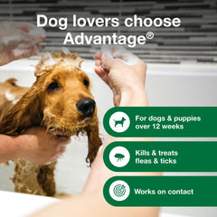 Advantage flea tick shampoo puppies application closeup highlights gentle, effective treatment