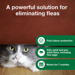 Advantage Household Fogger kills adult fleas, eggs, and ticks on carpets.
