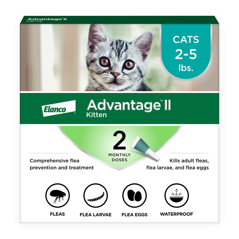 Advantage II Kitten neck-spot-on application providing easy monthly flea protection.