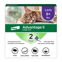 Advantage II Large Cat: spot-on neck application for easy monthly protection.