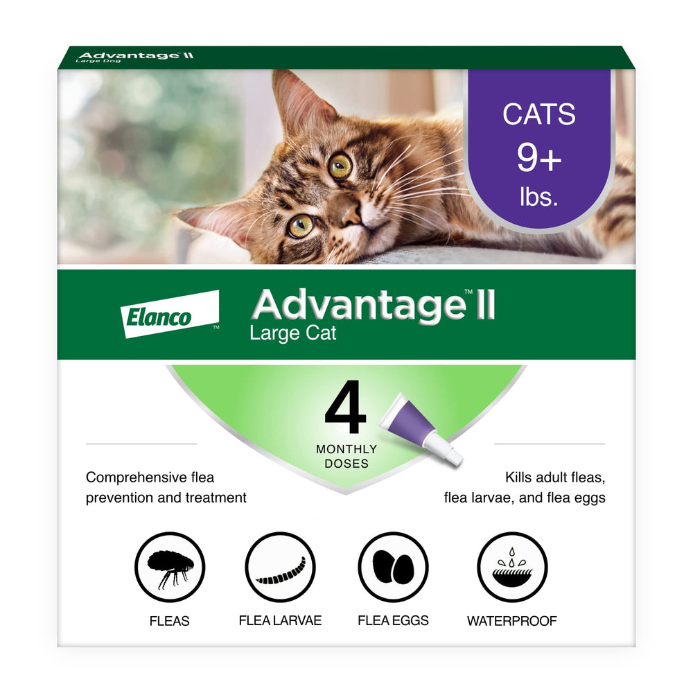 Advantage II Large Cat tube application on neck for easy spot-on treatment.