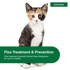 Advantage Small Cats waterproof formula ensures protection even after splashes or rain.