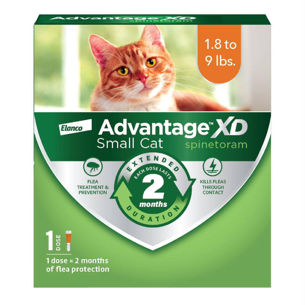Advantage XD applied to a cat's neck for quick flea protection.