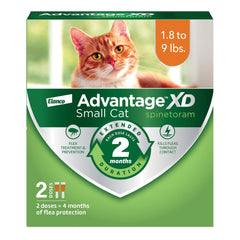 Advantage XD bottle spot-on application on a small cat for fast flea protection.
