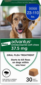 Advantus dog flea soft chews 30-count bottle, fast-acting relief for fleas.