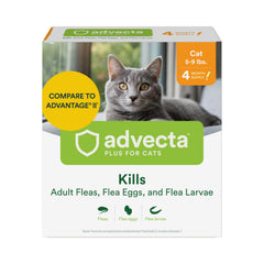 Advecta Plus bottle front view, fast-acting topical flea treatment for cats.