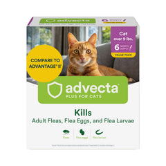 Advecta Plus cat flea treatment bottle being applied to cat, demonstrating fast flea control