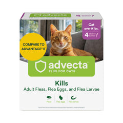 Advecta Plus topical large cat flea treatment bottle shown, fast-acting protection for fleas