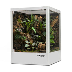 ADVINCI Reptile Terrarium front view showing clear glass for observing behavior