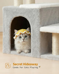 Aechonow low-rise steps ideal for kittens and seniors.