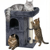 Aechonow cozy window perch offers elevated comfort for watching outdoors.