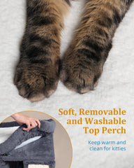Aechonow wide base adds stability for confident climbing and lounging.