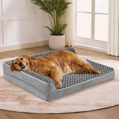 Aeroluxe dog bed 36x27 front view promoting spacious orthopedic comfort.