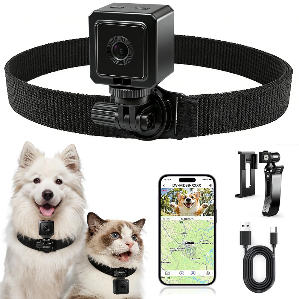 AEZ Pet Camera Collar on a dog captures 1080p footage for shareable moments.