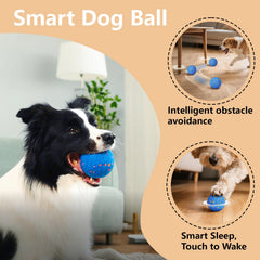 Affiuya Duraspin design offers durability against aggressive chewing.