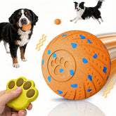 Affiuya interactive dog ball with remote for engaging fetch and chase.