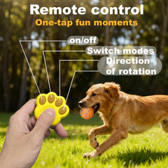 Affiuya ball in roll mode providing active chasing and exercise.