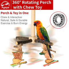 Agape chestnut wood perch detail highlights natural grip for small birds.