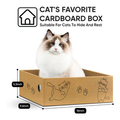 AGYM Cat Scratcher doubles as a cozy resting spot for cats.
