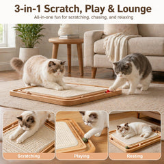 Ahomdoo 3-in-1 design offers scratching, chasing, and resting in one place.