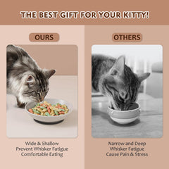 AHX cat bowls with non-slip pads prevent sliding during meals.