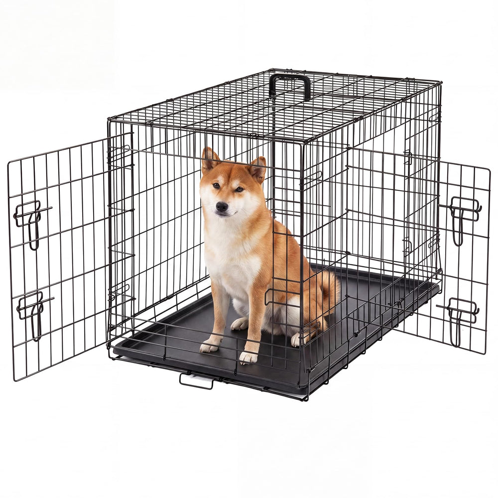 Aidoly 36-inch double-door crate with secure lock for indoor and outdoor use.