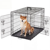 Aidoly 36-inch double-door crate with secure lock for indoor and outdoor use.