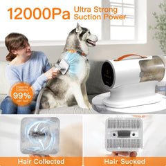 Airrobo vacuum operates quietly for calm grooming sessions