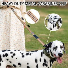 AIRUIDOG heavy-duty leash with reflective stitching for night visibility.