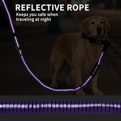 Airuidog seatbelt buckle design adds car safety for travel with pets.