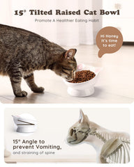 Cat eating from AISBUGUR raised bowl highlighting improved feeding posture