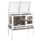 Aivituvin wooden guinea pig cage two-story layout offers spacious play area.