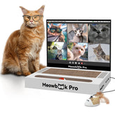 AIWEILUCK cat-scratcher laptop front view promotes safe scratching and engagement