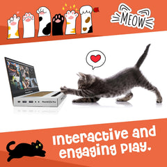 AIWEILUCK cat-scratcher mouse close-up highlights chase toy in action