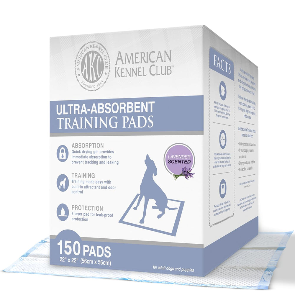 AKC lavender scented training pad, top view, ideal for indoor potty training.