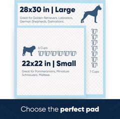 AKC quick-dry training pad demonstrating rapid absorption to keep paws clean and dry.